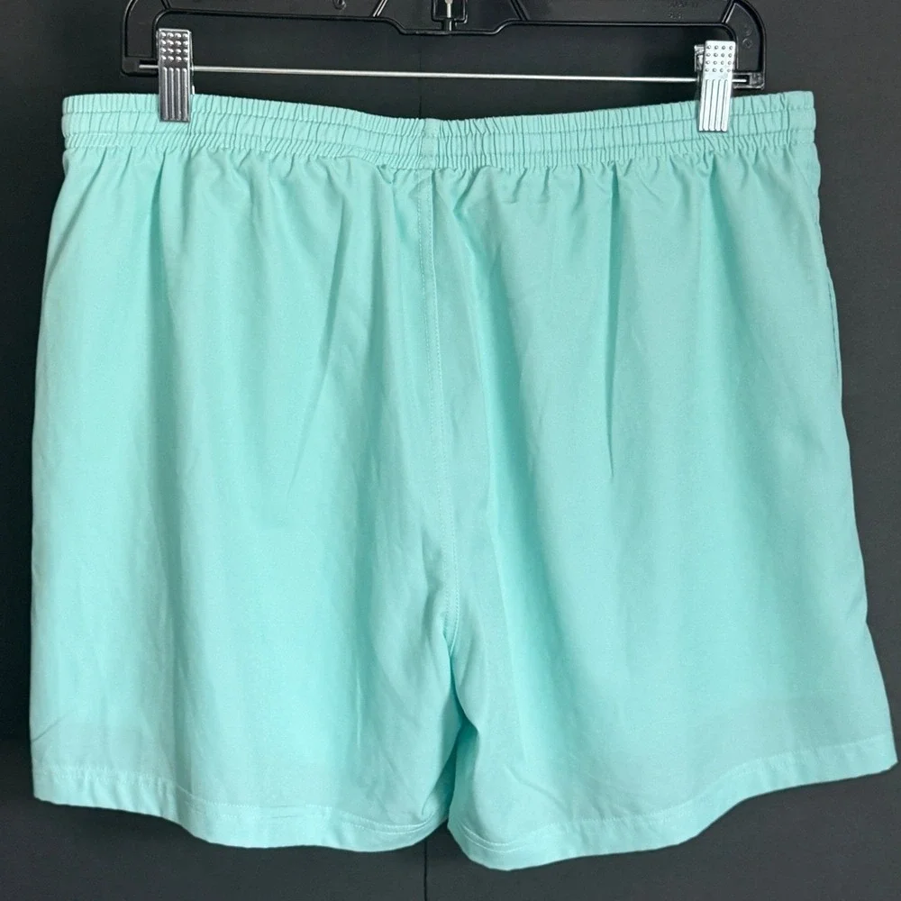 Clifton Mens Swim Trunks Mint Aqua Blue Mesh Lined Drawstring Shorts Size Medium